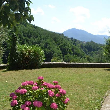 La Limonaia Di Casagrande Villa Barga Eksteriør bilde