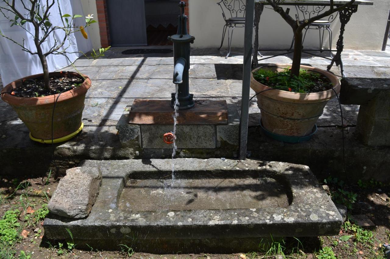 La Limonaia Di Casagrande Villa Barga Eksteriør bilde