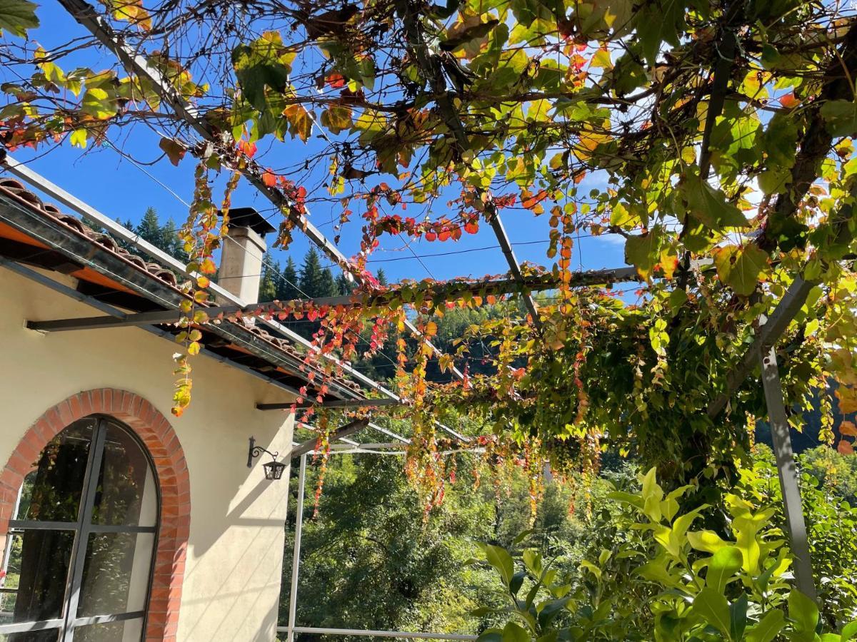 La Limonaia Di Casagrande Villa Barga Eksteriør bilde