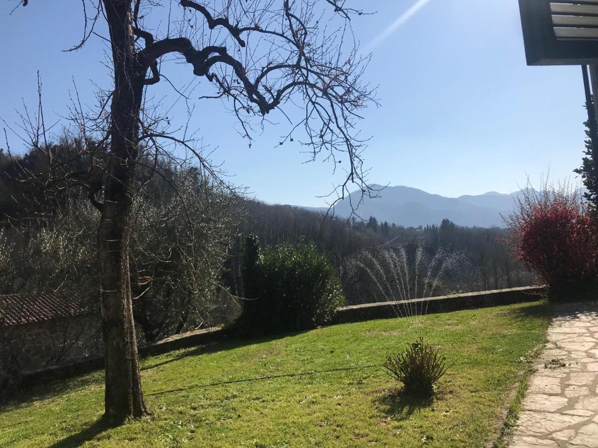 La Limonaia Di Casagrande Villa Barga Eksteriør bilde