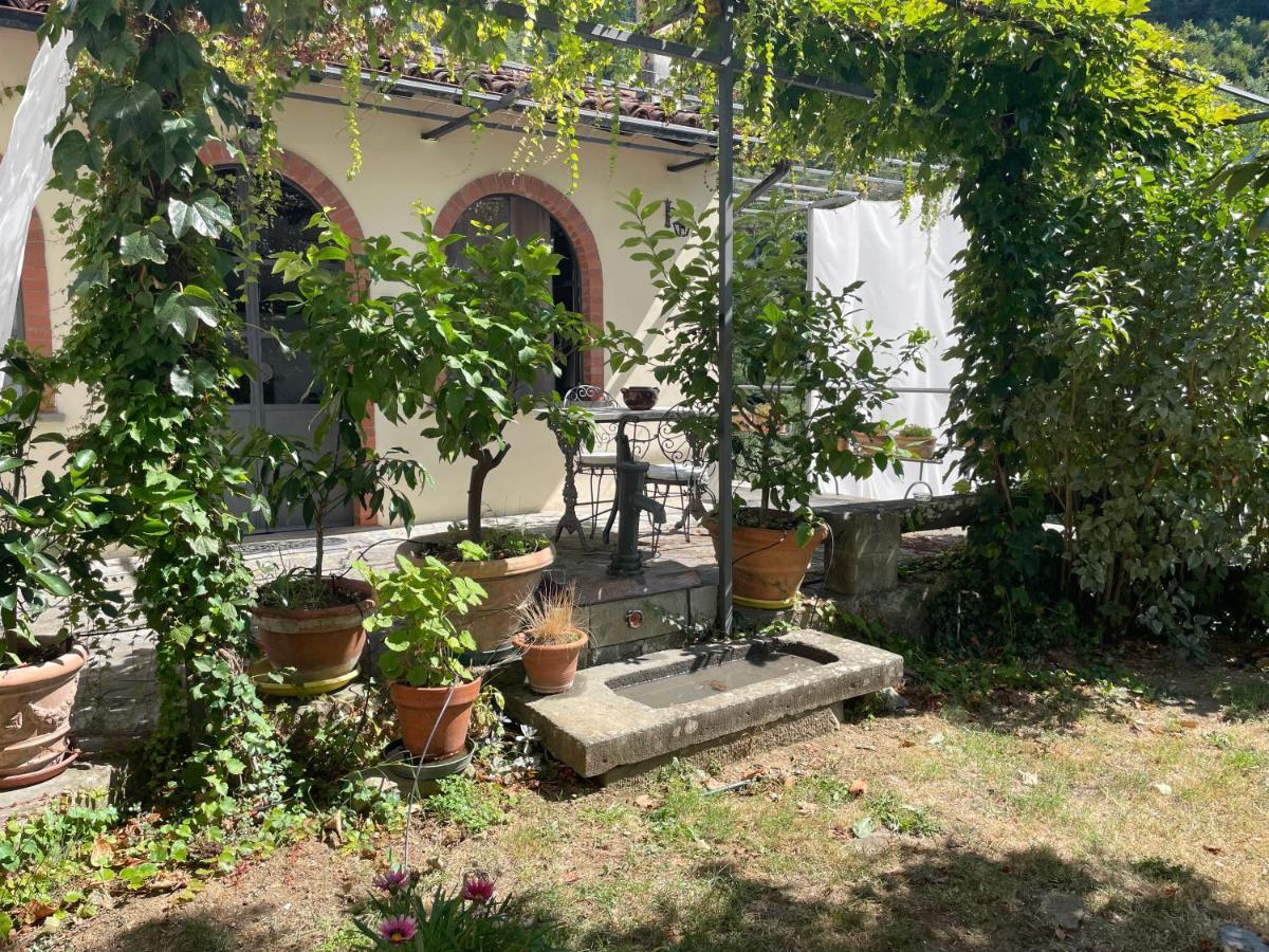 La Limonaia Di Casagrande Villa Barga Eksteriør bilde