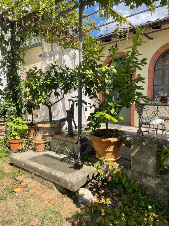 La Limonaia Di Casagrande Villa Barga Eksteriør bilde