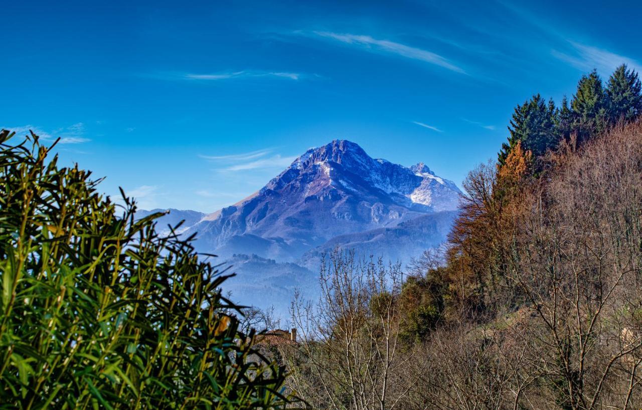 La Limonaia Di Casagrande Villa Barga Eksteriør bilde