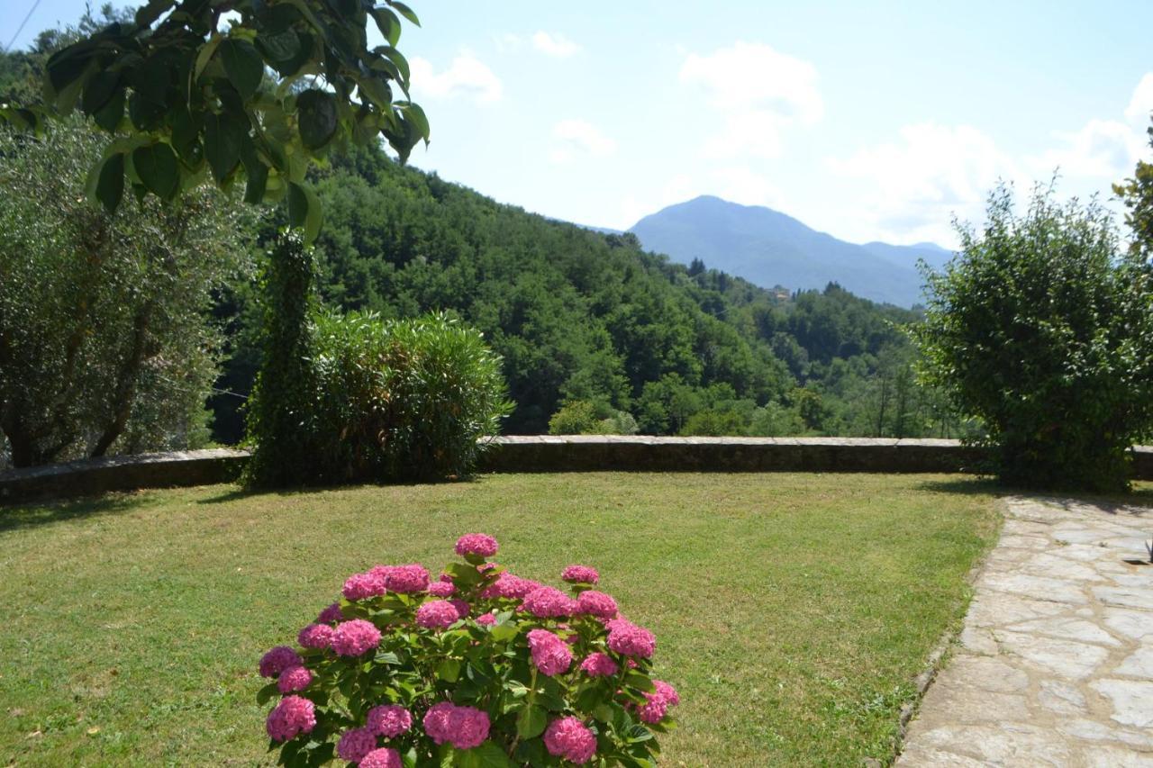 La Limonaia Di Casagrande Villa Barga Eksteriør bilde
